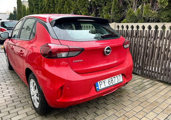 Opel Corsa cena 48200 przebieg: 33774, rok produkcji 2020 z Krotoszyn małe 92